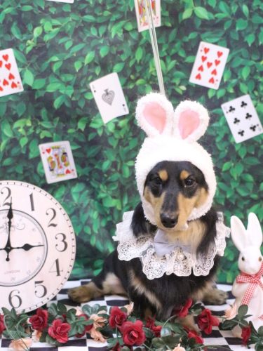 20250423おうたくん